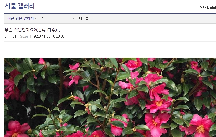 다양한 각도로 촬영된 식물 사진이 꼼꼼하게 첨부된 질문 글