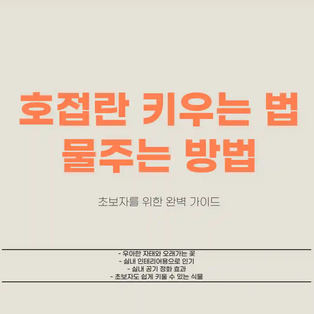 호접란 키우는 법 물주는 방법