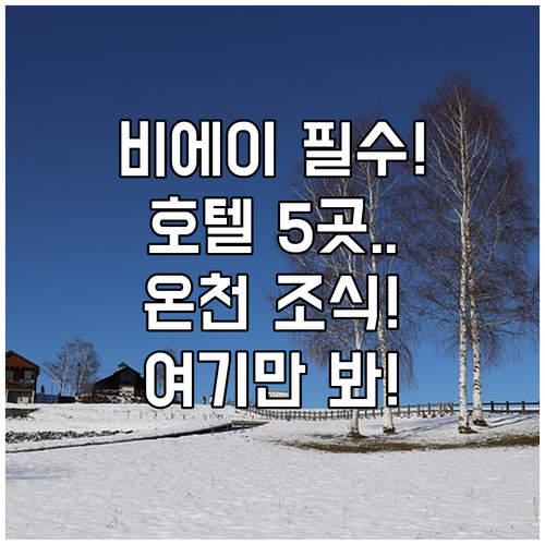 비에이 후라노 여행 아사히카와 호텔 ..