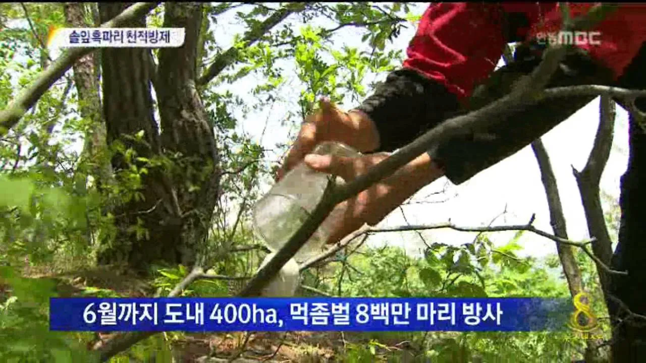 병해충 천적 활용 무당벌레 기생벌 끈끈이트랩 친환경 방제_5