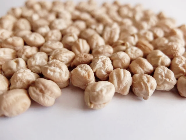 안정적인 혈당 유이 병아리콩