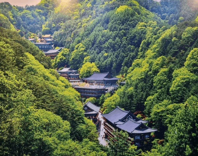 구인사