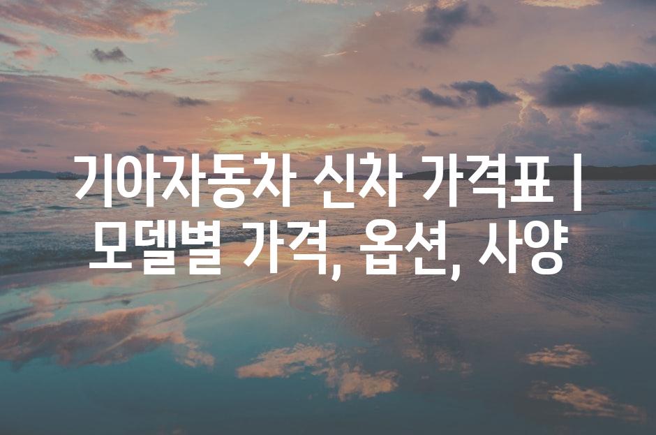 샘플 (81)