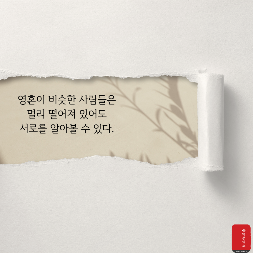 쇼펜하우어 명언 모음 인생 명언 문구 이미지