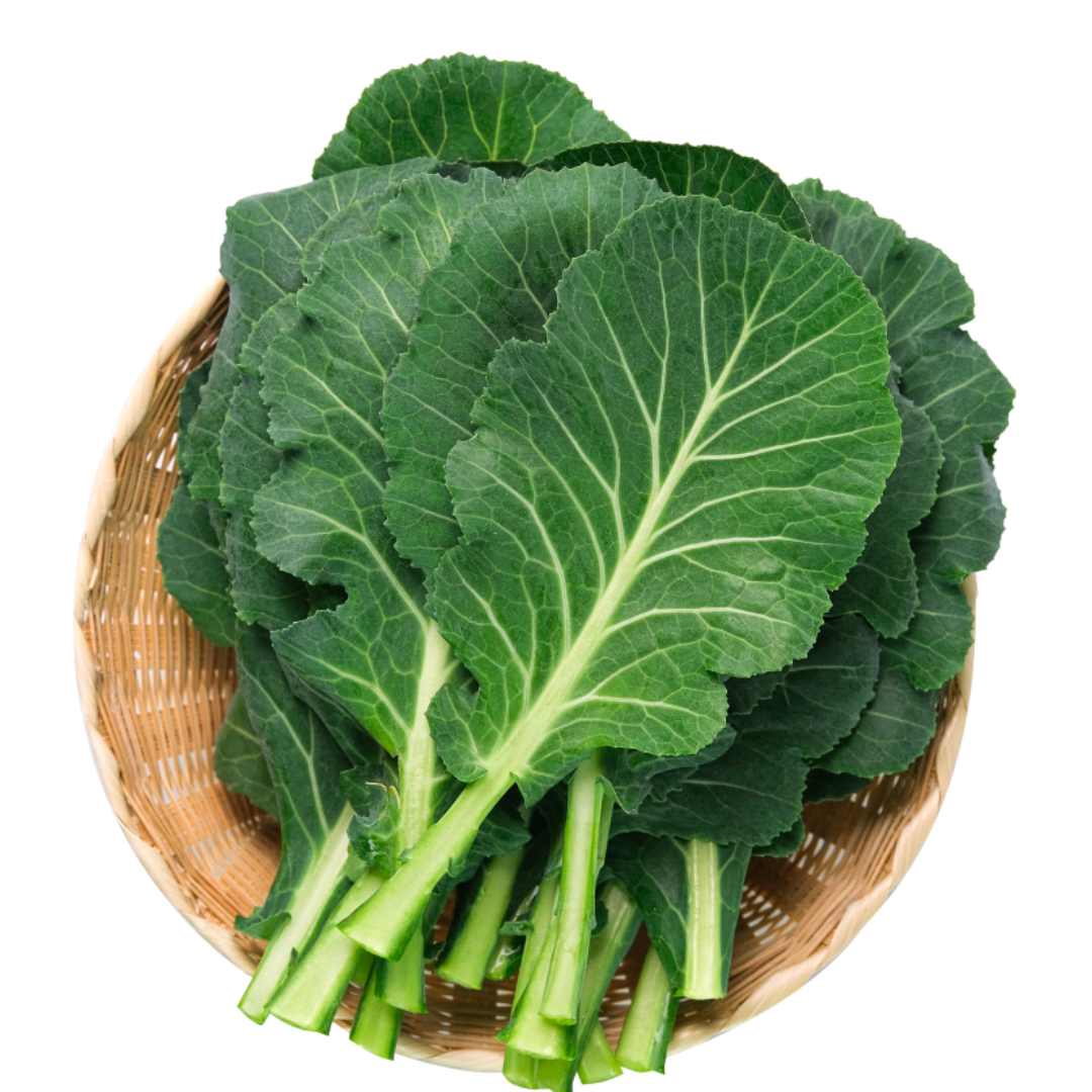 멜라토닌과 관련된 사진입니다.