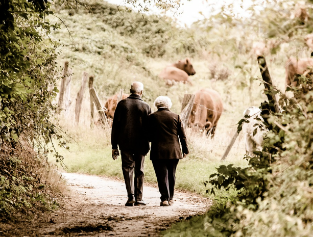 손잡고 걷고있는 노부부