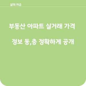 부동산 아파트 실거래가격 정보 동&#44;층 정확하게 공개