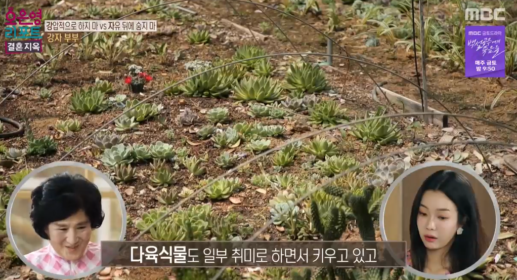 오은영-리포트-결혼지옥-88회-강자부부