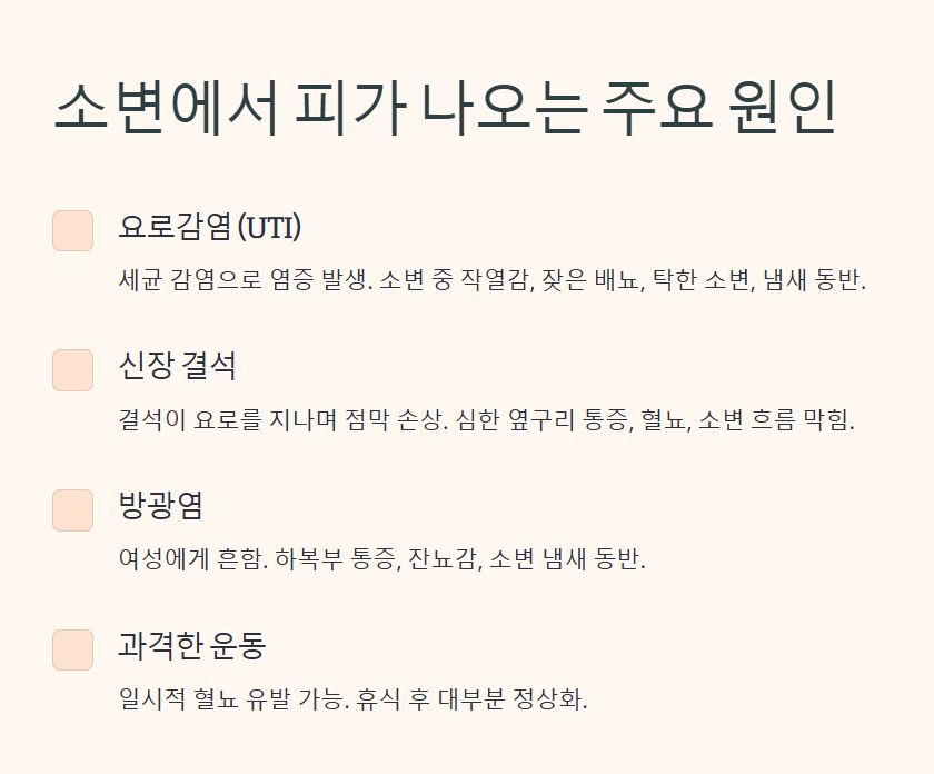 소변에서 피가