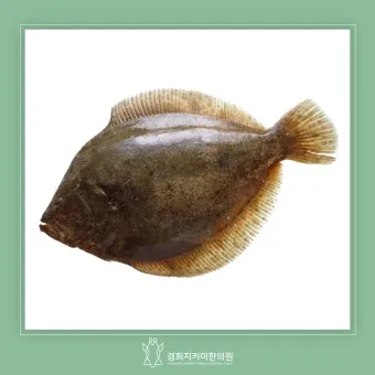 봄 도다리 제철 효능 레시피_5