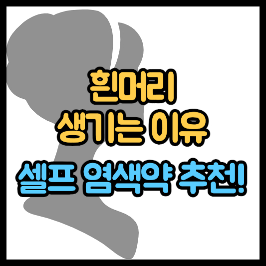 흰머리가 나는 이유 알아보기 - 셀프 염색약 추천