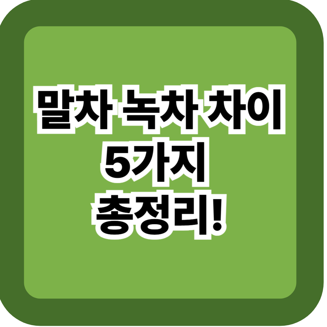 말차 녹차 차이 5가지 총정리 – 효능·맛·카페인까지 한눈에 비교