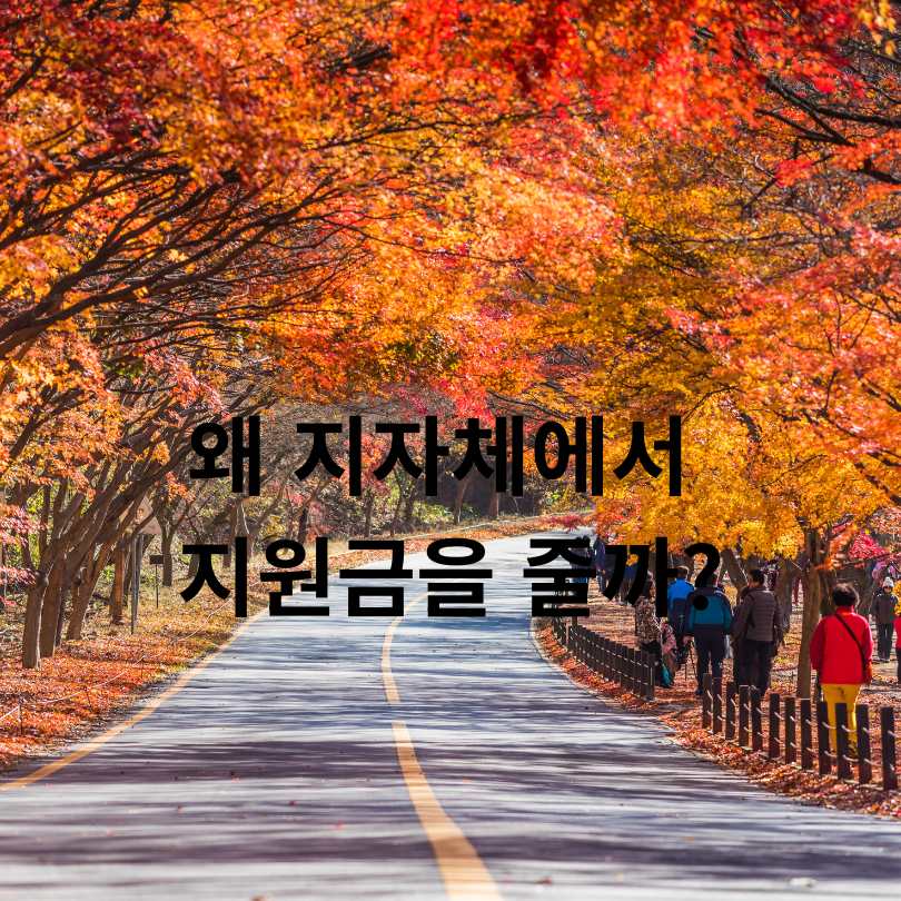 지자체 여행지원금