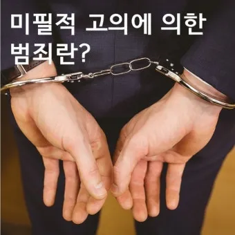 미필적 고의 뜻과 반대말 처벌 자료집_5