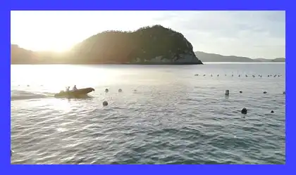 인간극장 다시보기