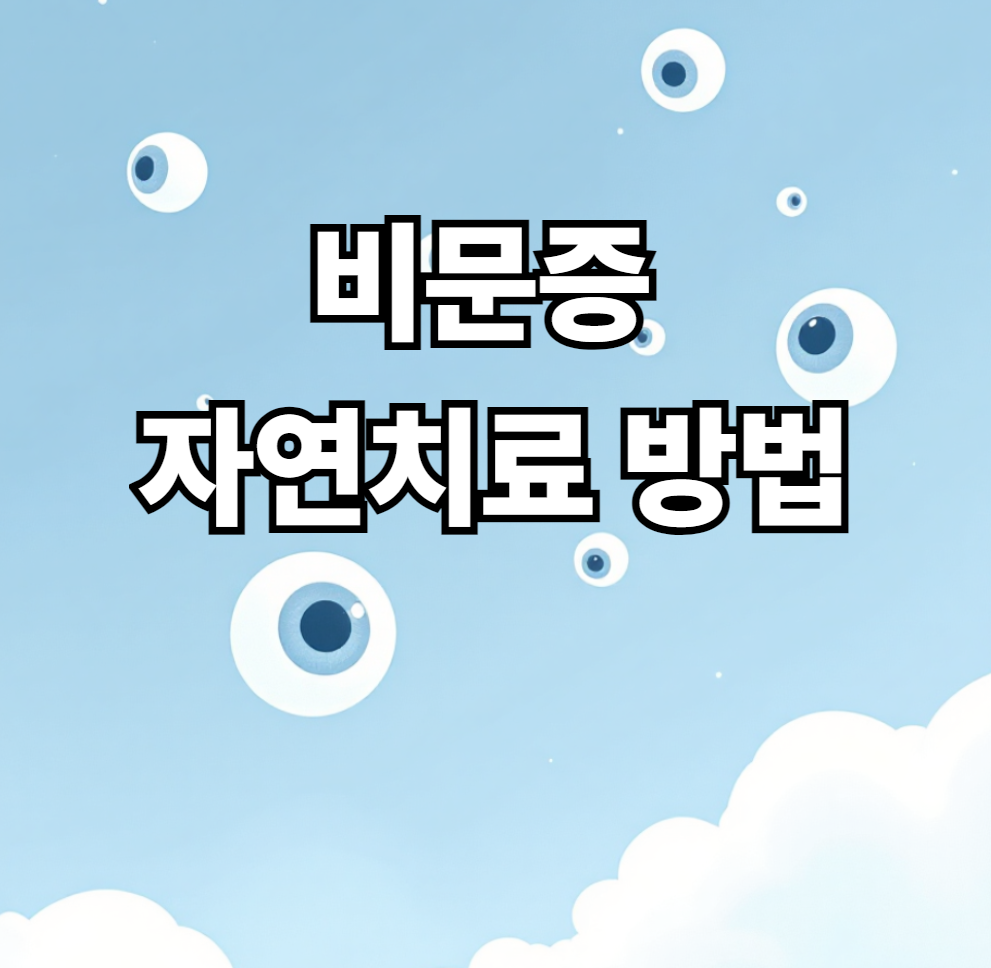 비문증 자연치유