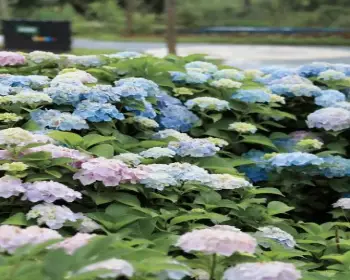 순천만 국가정원_17