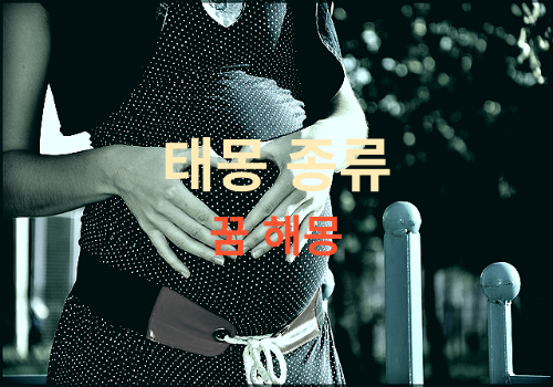 태몽의 종류와 의미를 알아 보겠습니다. ( 태몽 꿈해몽 풀이 모음 )