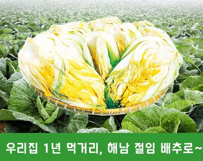 절임배추 20kg 추천