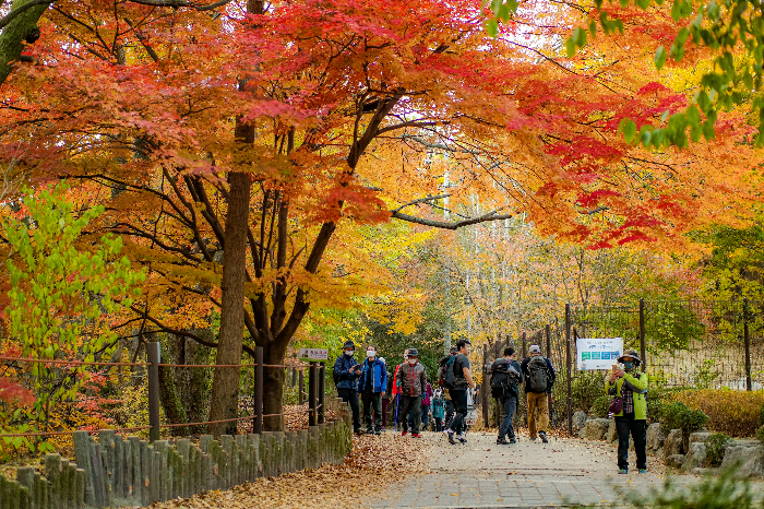 가을산 탐방객의 모습