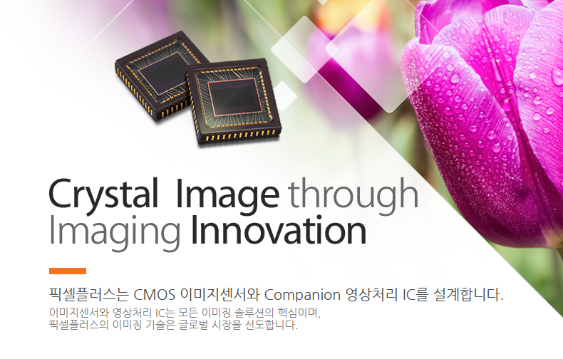 회사 소개(출처=픽셀플러스)