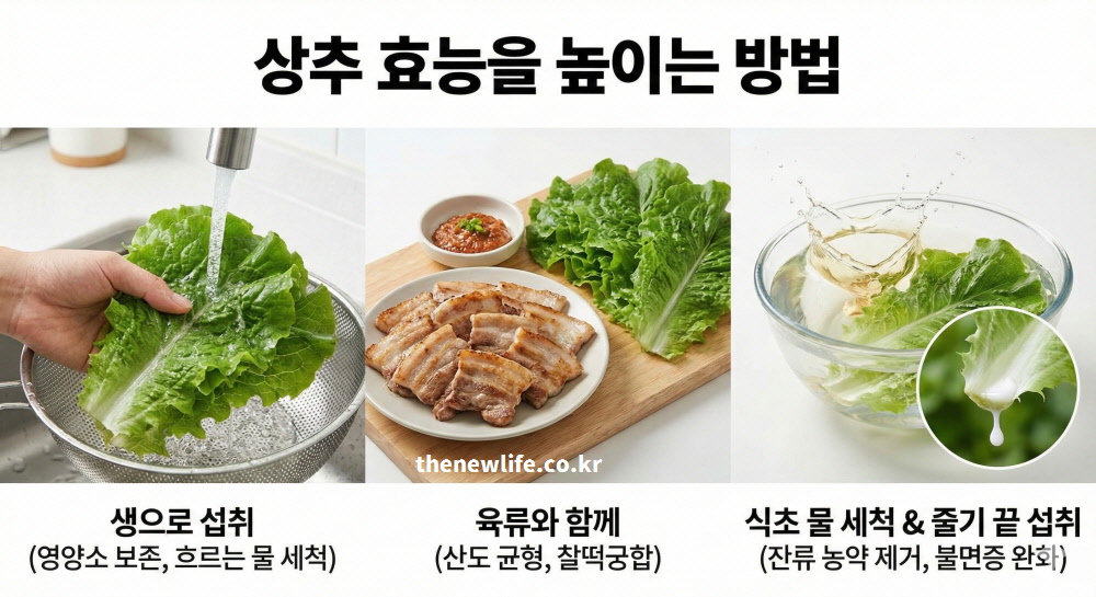 영양소 보존을 위한 생 섭취와 육류 궁합 및 잔류 농약 제거 세척법을 설명하는 상추 효능 높이는 방법