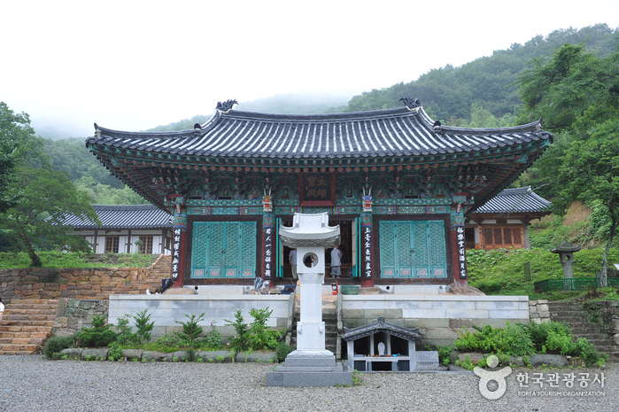 함평 가볼만한곳 베스트10