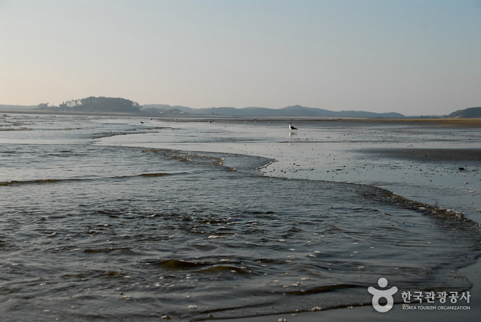 안면도수목원 가이드 : 입장료 할인부터 예약까지