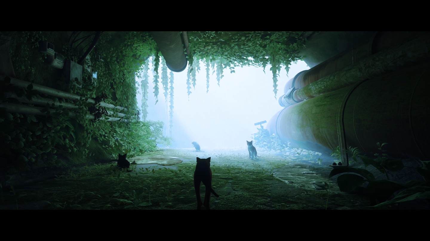 스트레이 게임 이미지