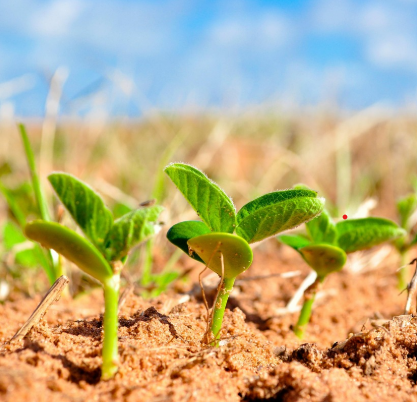 청명(淸明) &ndash; 하늘이 맑아지고 농사 준비가 시작되는 시기