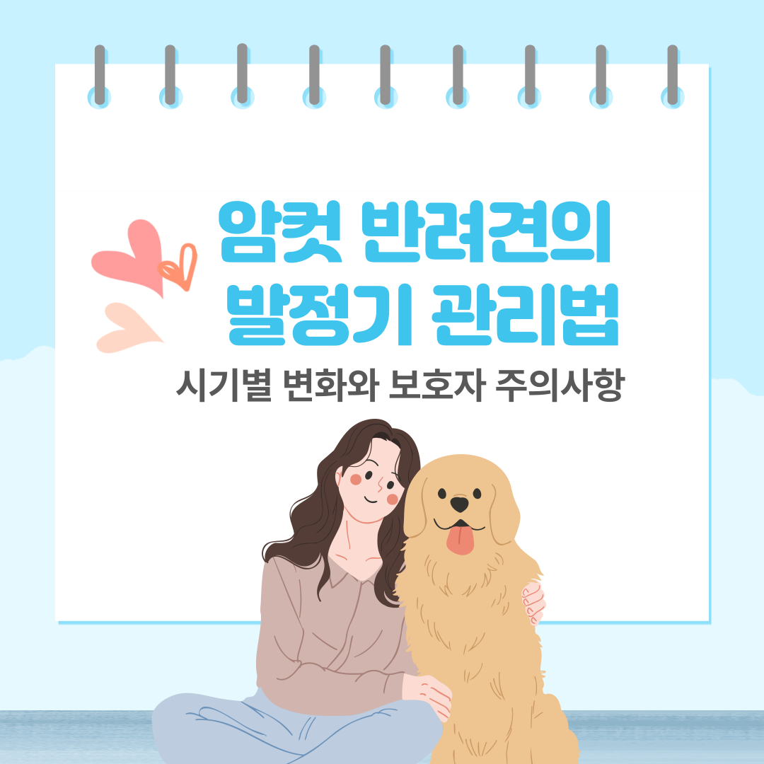 암컷 강아지 발정기 관리법
