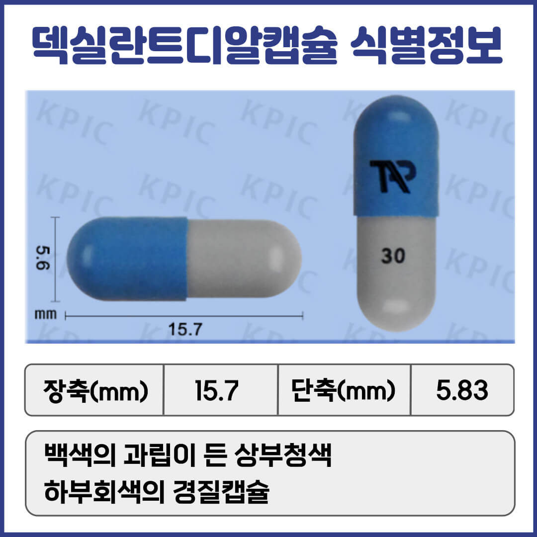 덱실란트디알캡슐 식별정보