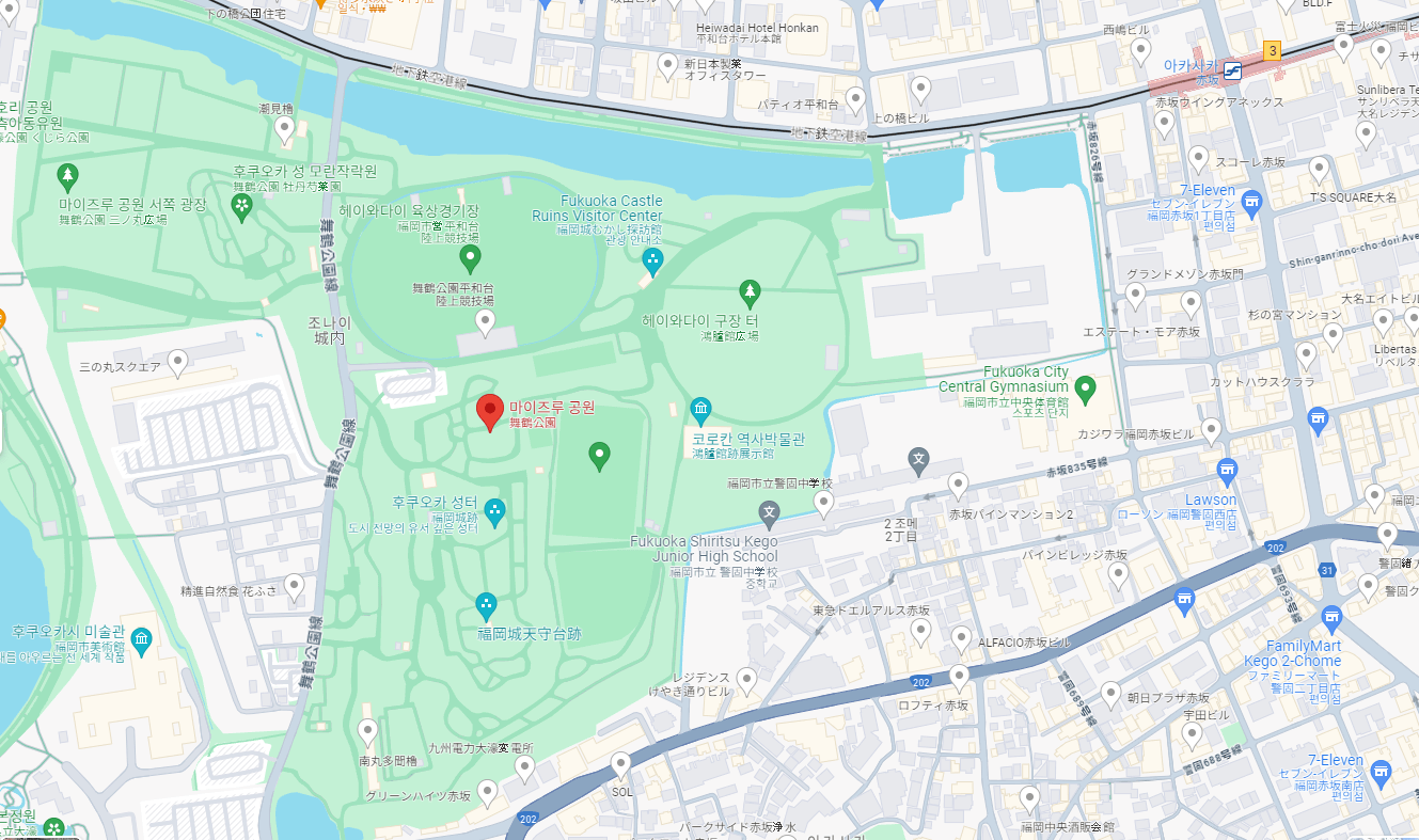 일본 후쿠호카 벚꽃