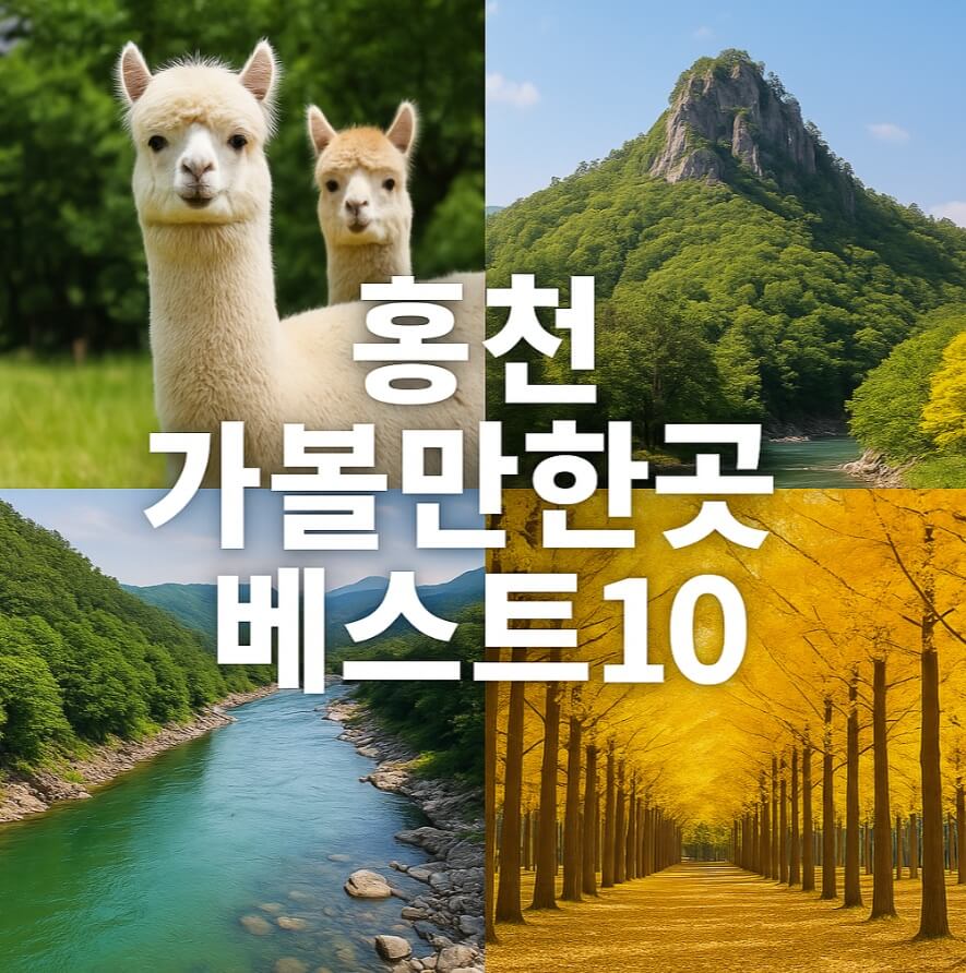 홍천 가볼만한곳 베스트10