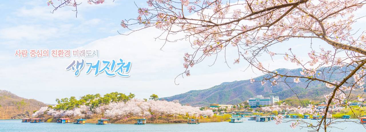 초평저수지 벚꽃섬