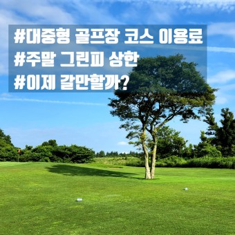 대중형 그린피 인하