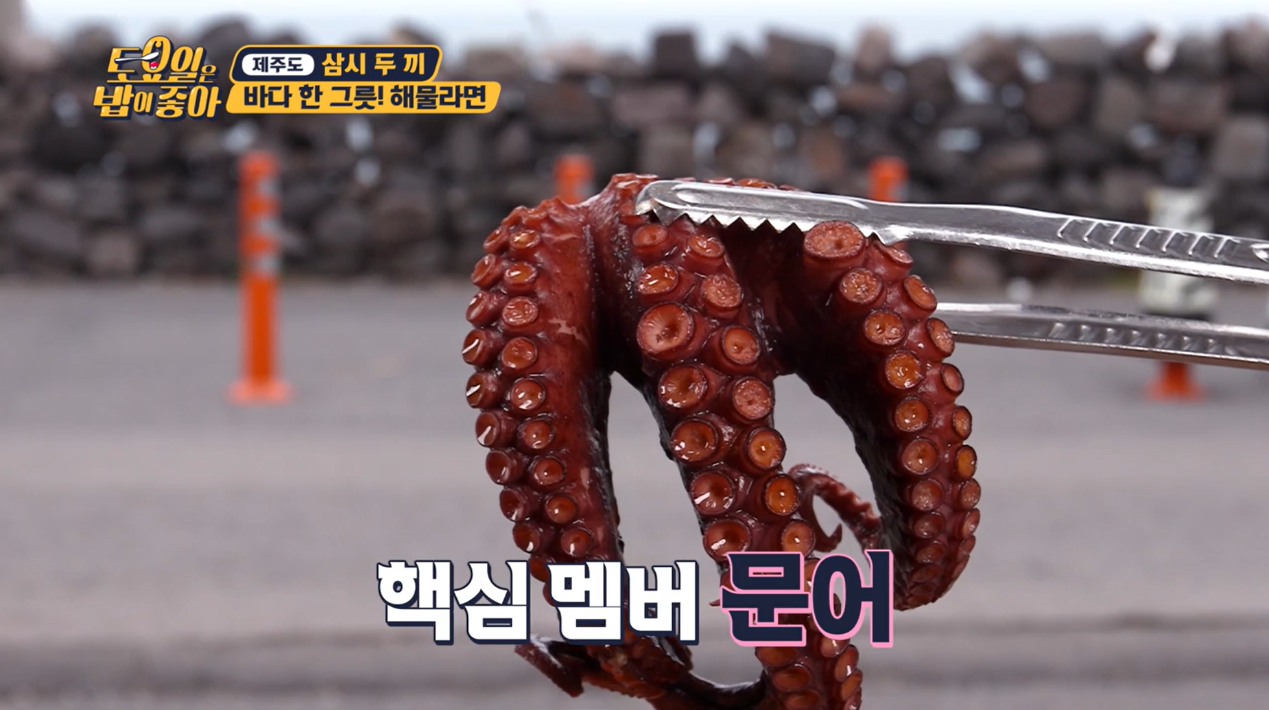 토요일은밥이좋아 제주도편 노라바