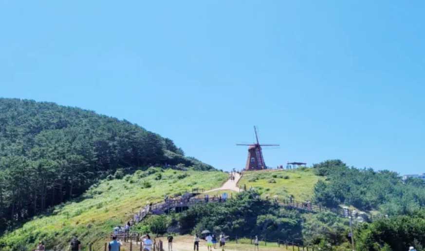 바람의 언덕