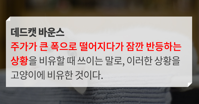 데드켓 바운스 뜻 대드켓 바운스