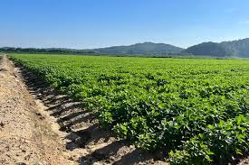 농업직불금 온라인 교육 신청