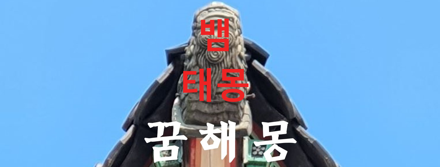 꿈해몽