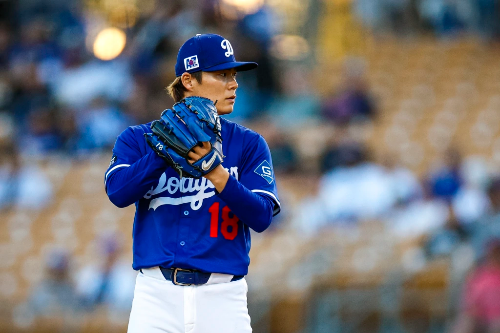 야마모토 요시노부