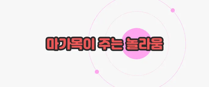 마가목 효능 한 번 정리해볼까요