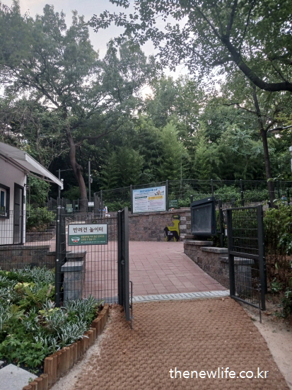 Entrance gate to the Dog Playground with fenced area/반려견 놀이터 입구 전경과 울타리로 구획된 안전한 출입구