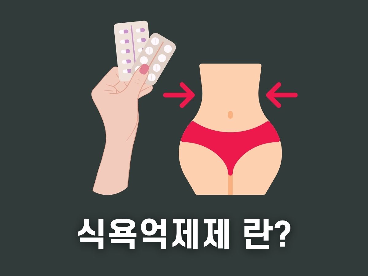 식욕억제제 원리