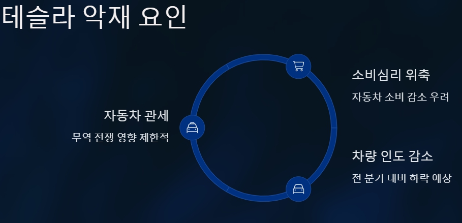테슬라 악재 요인