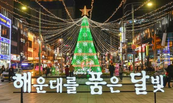 빛축제11