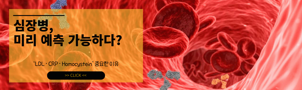 임상병리학 ; 혈액 검사로 심장병을 미리 예측한다? LDL · CRP · Homocystein 수치가 중요한 이유