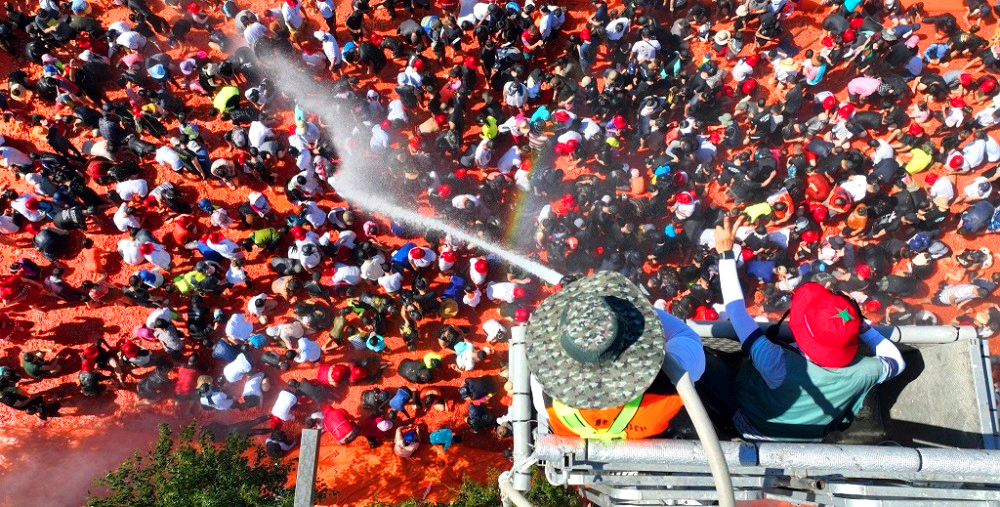 화천토마토축제