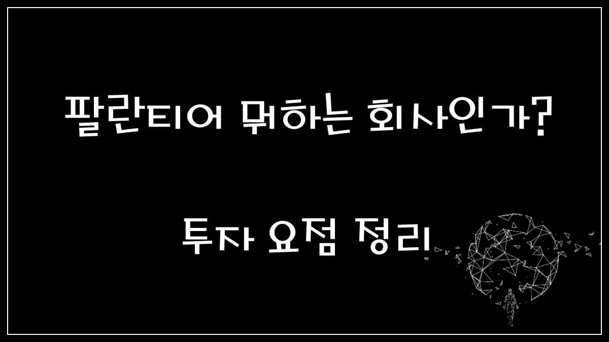 팔란티어는 뭐하는 회사인가?